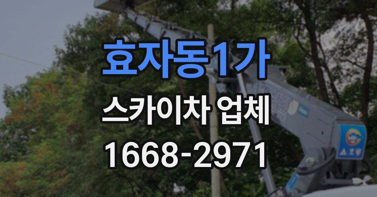 효자동1가 스카이차 업체