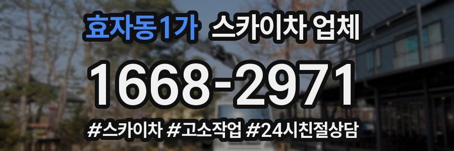 효자동1가 스카이차 업체
