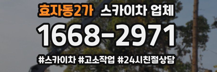 효자동2가 스카이차 업체