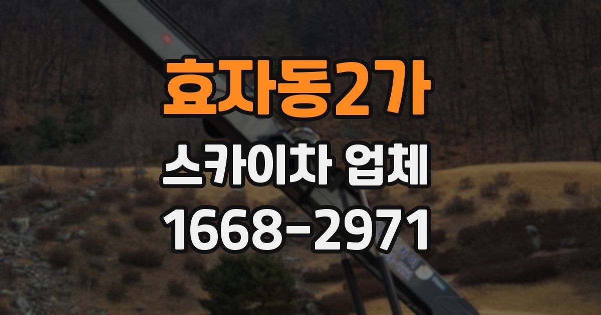 효자동2가 스카이차 업체