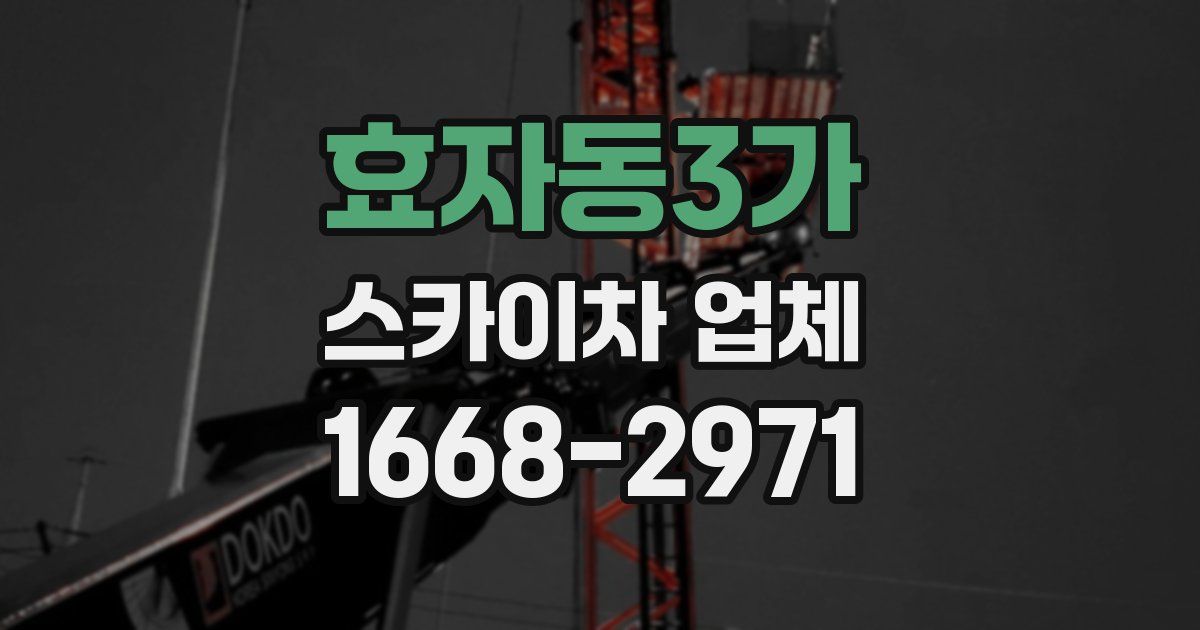 효자동3가 스카이차 업체
