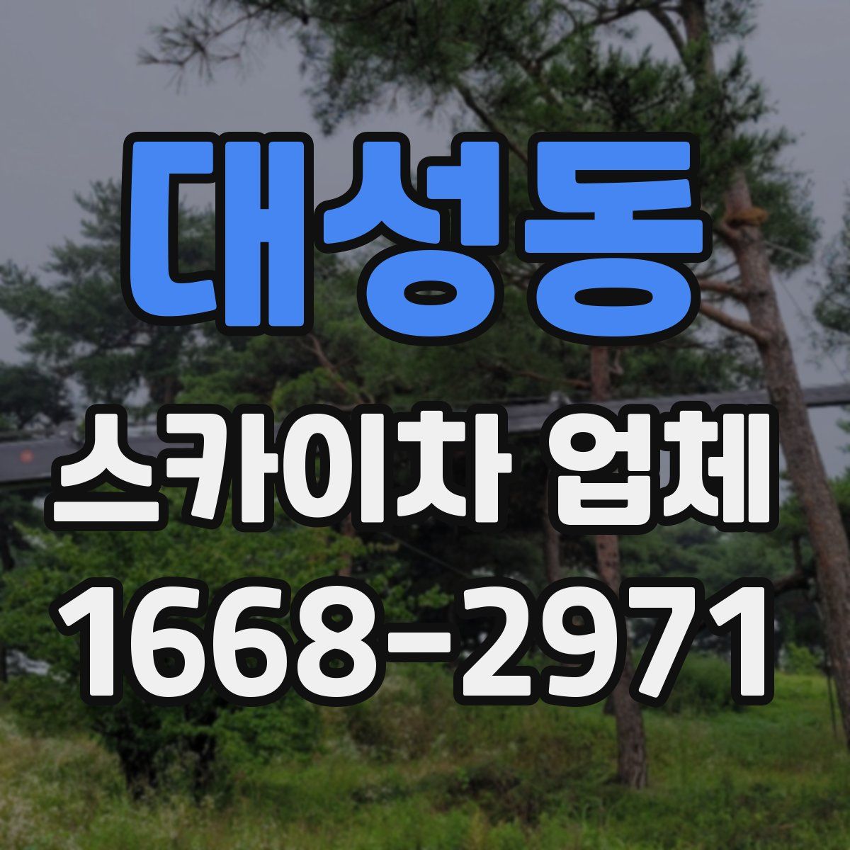 대성동 스카이차 업체