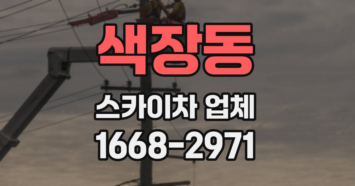 색장동 스카이차 업체