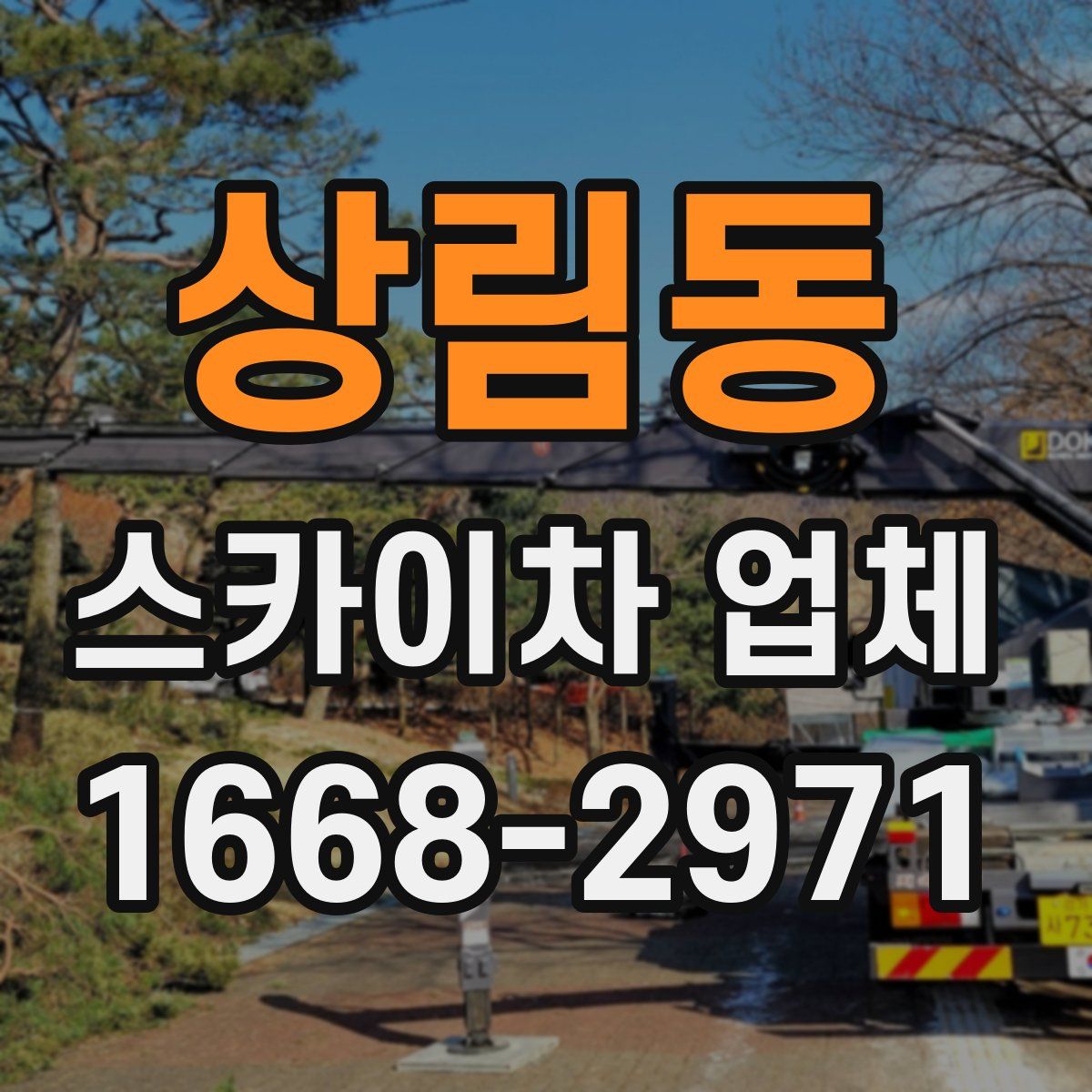 상림동 스카이차 업체