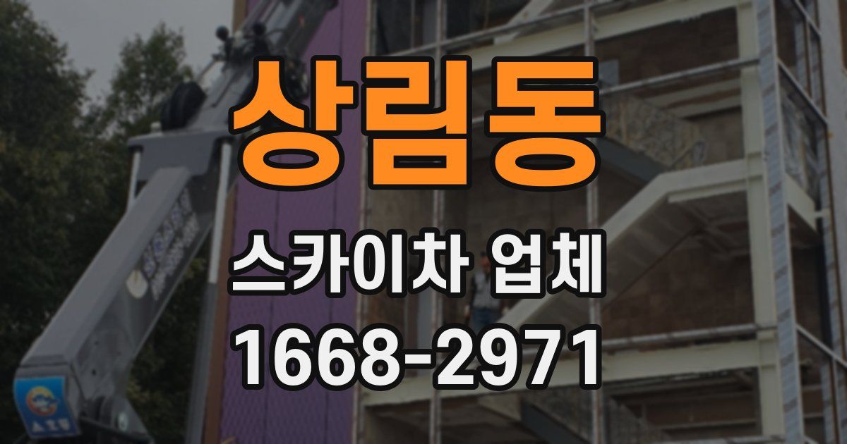 상림동 스카이차 업체