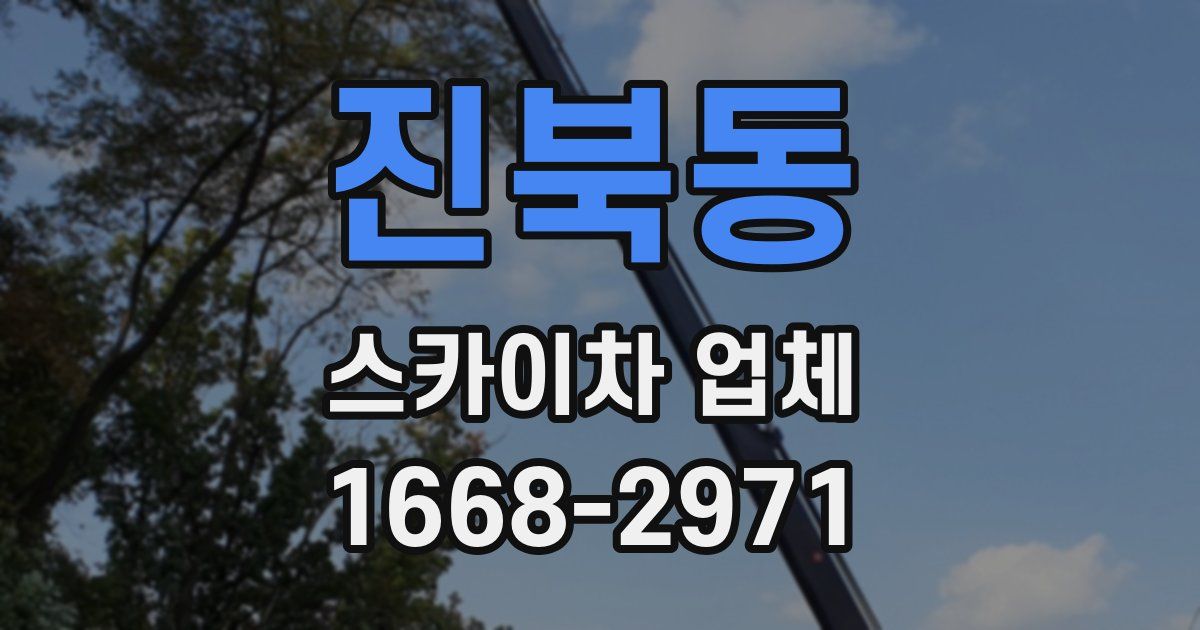 진북동 스카이차 업체