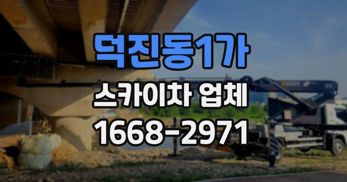 덕진동1가 스카이차 업체