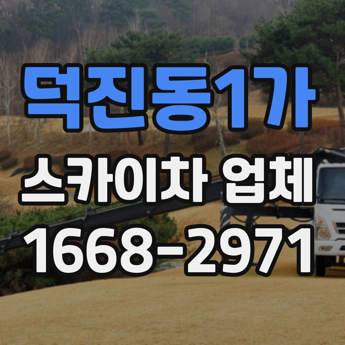 덕진동1가 스카이차 업체