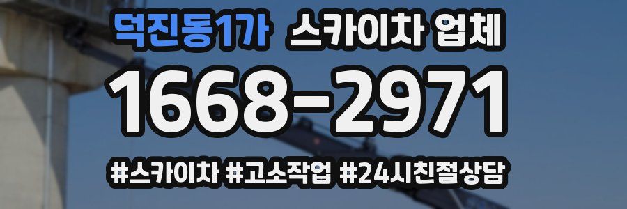 덕진동1가 스카이차 업체