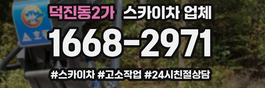덕진동2가 스카이차 업체