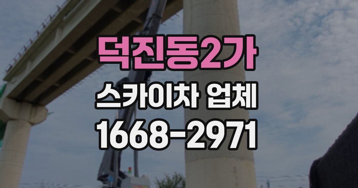 덕진동2가 스카이차 업체