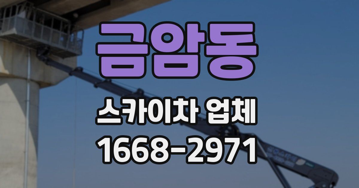 금암동 스카이차 업체