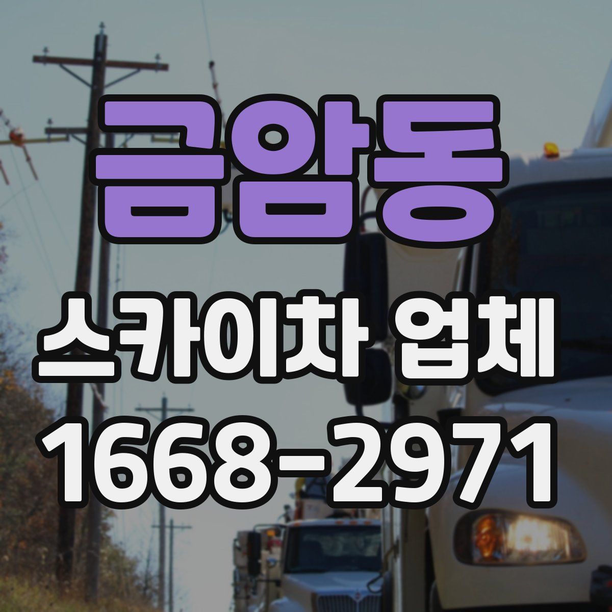 금암동 스카이차 업체