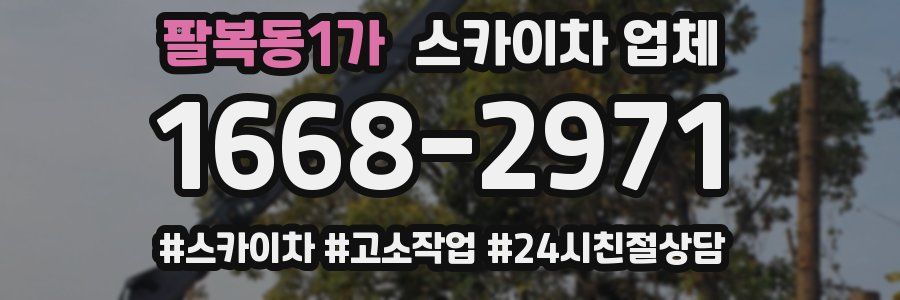 팔복동1가 스카이차 업체