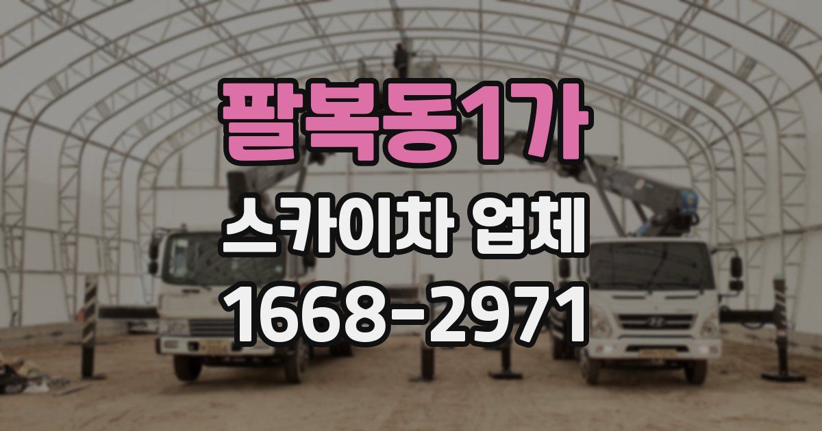 팔복동1가 스카이차 업체