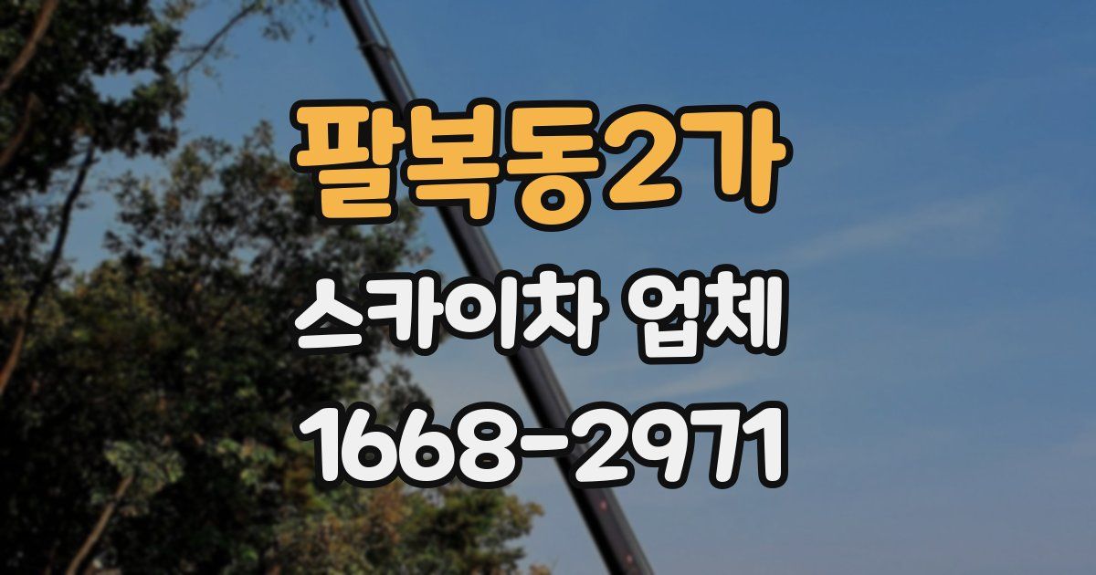팔복동2가 스카이차 업체