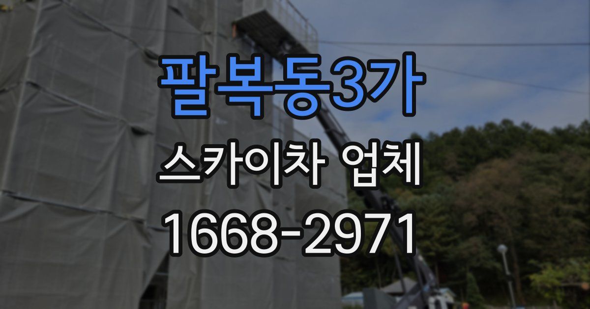 팔복동3가 스카이차 업체