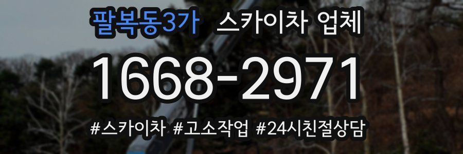 팔복동3가 스카이차 업체