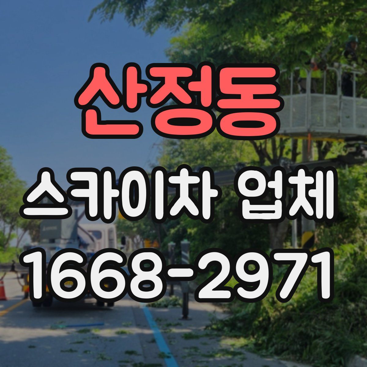 산정동 스카이차 업체