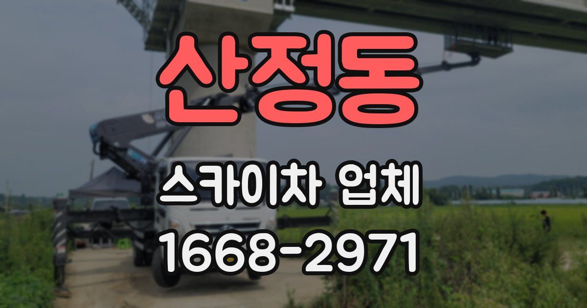 산정동 스카이차 업체