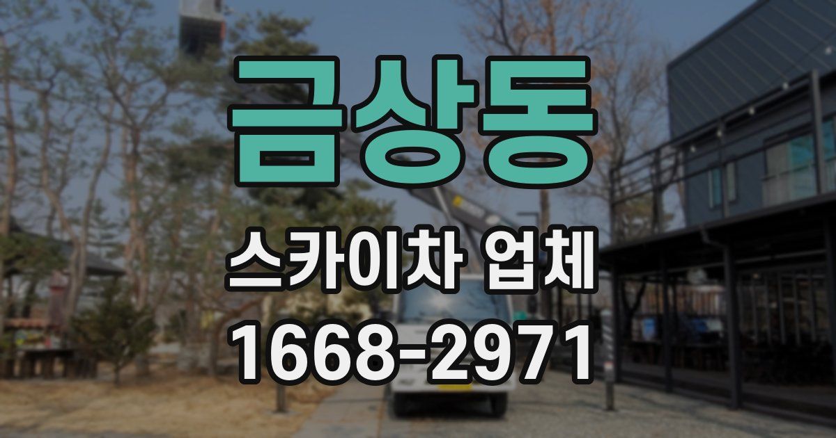금상동 스카이차 업체