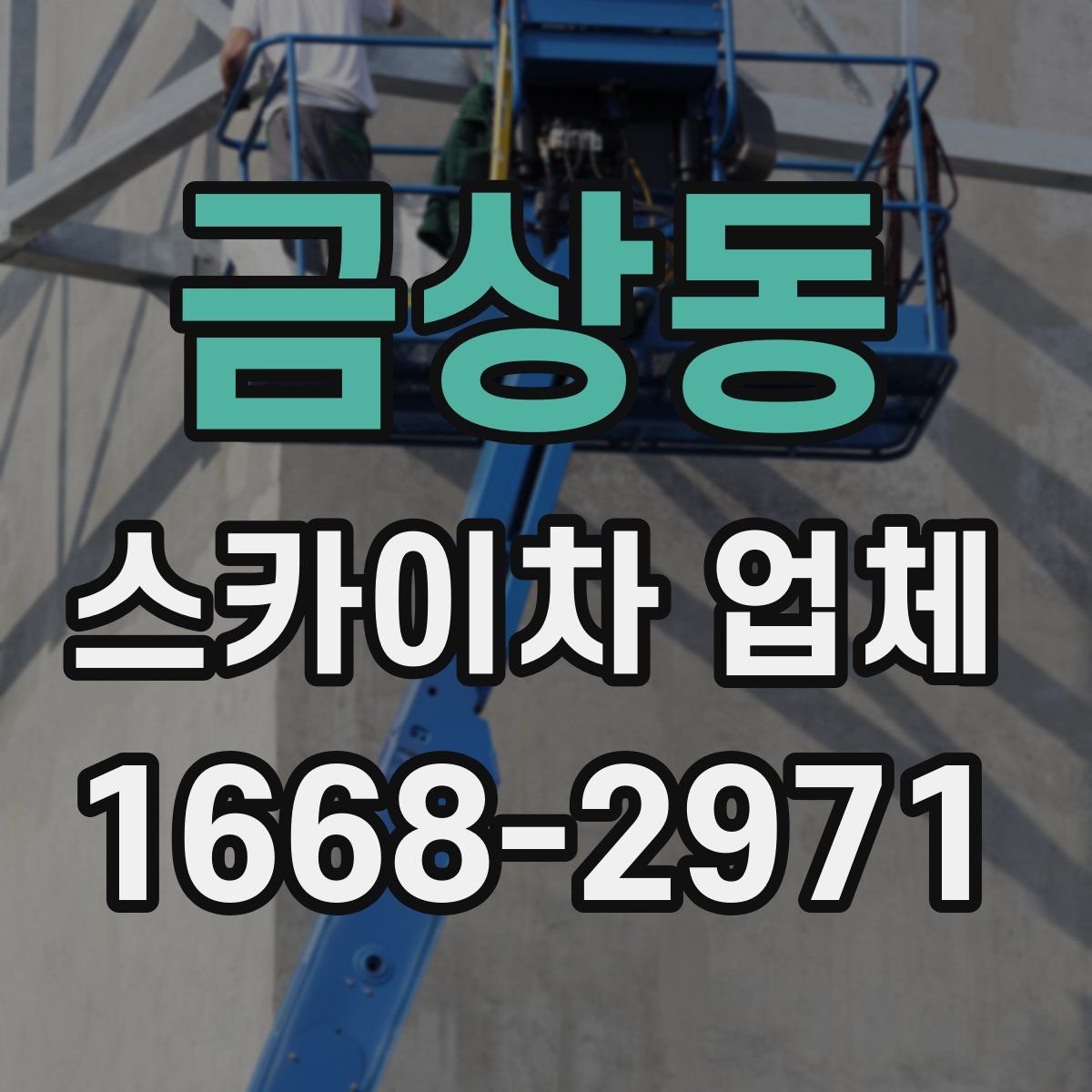 금상동 스카이차 업체