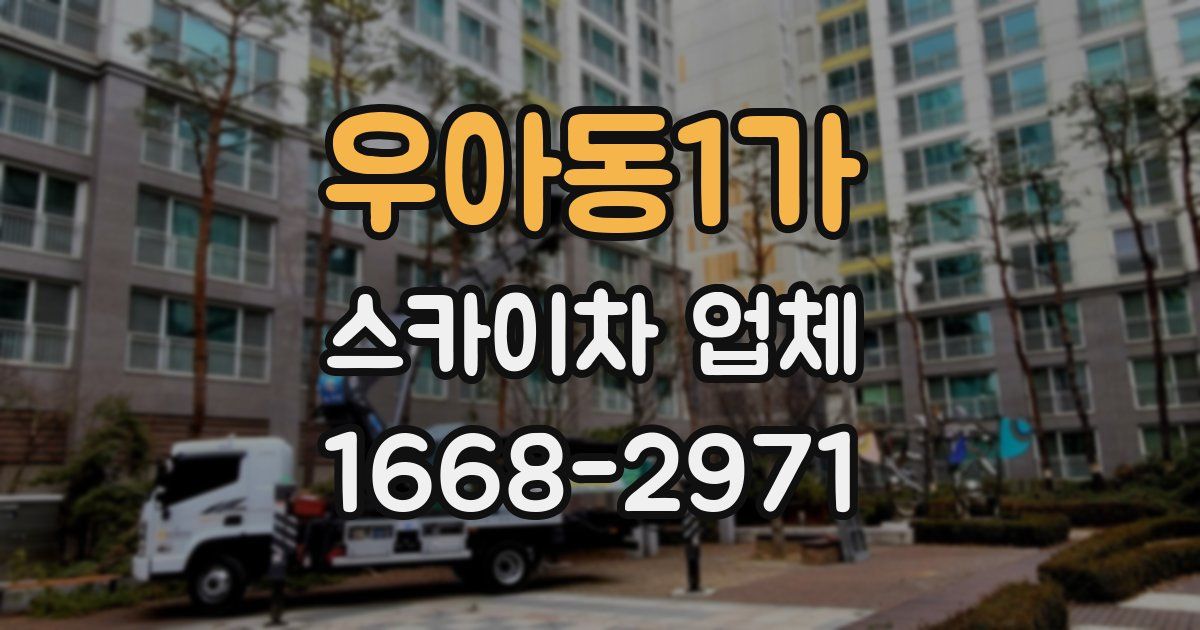 우아동1가 스카이차 업체