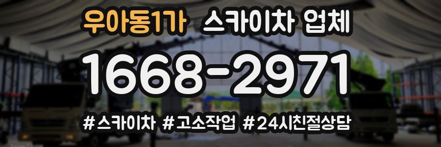 우아동1가 스카이차 업체