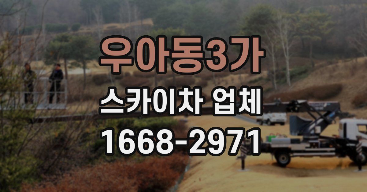 우아동3가 스카이차 업체