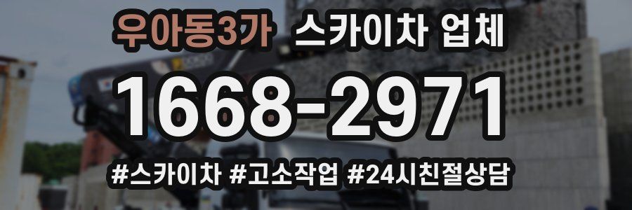 우아동3가 스카이차 업체