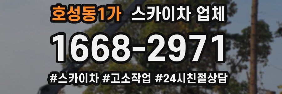 호성동1가 스카이차 업체