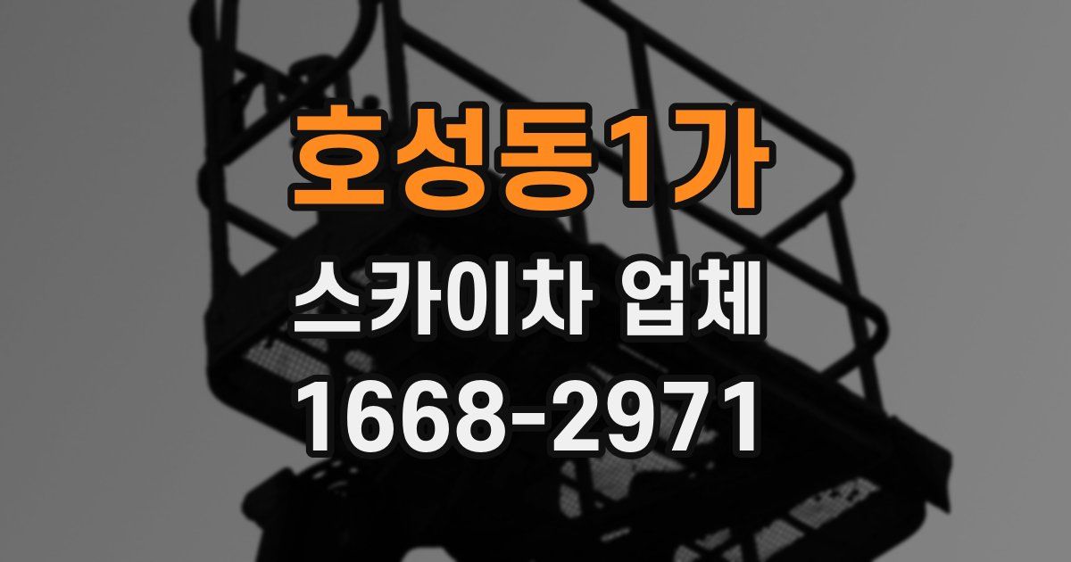 호성동1가 스카이차 업체