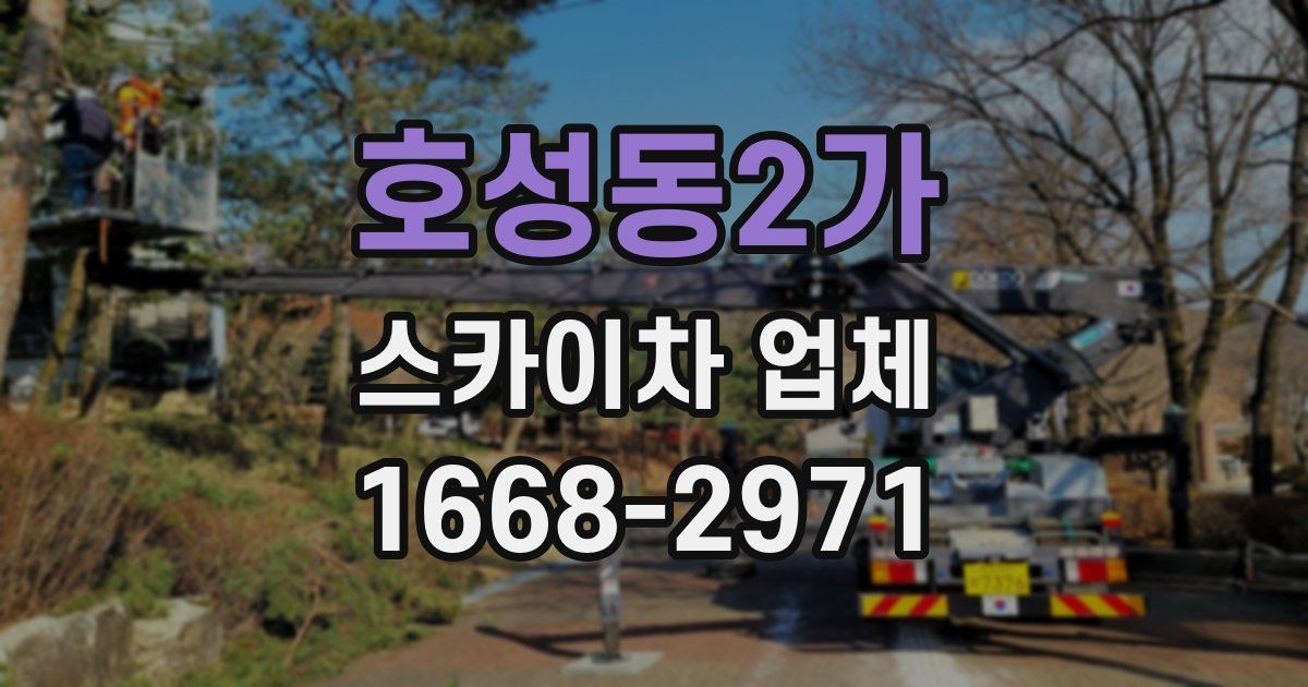 호성동2가 스카이차 업체