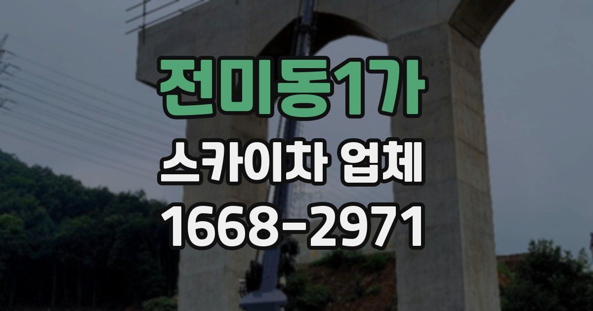 전미동1가 스카이차 업체