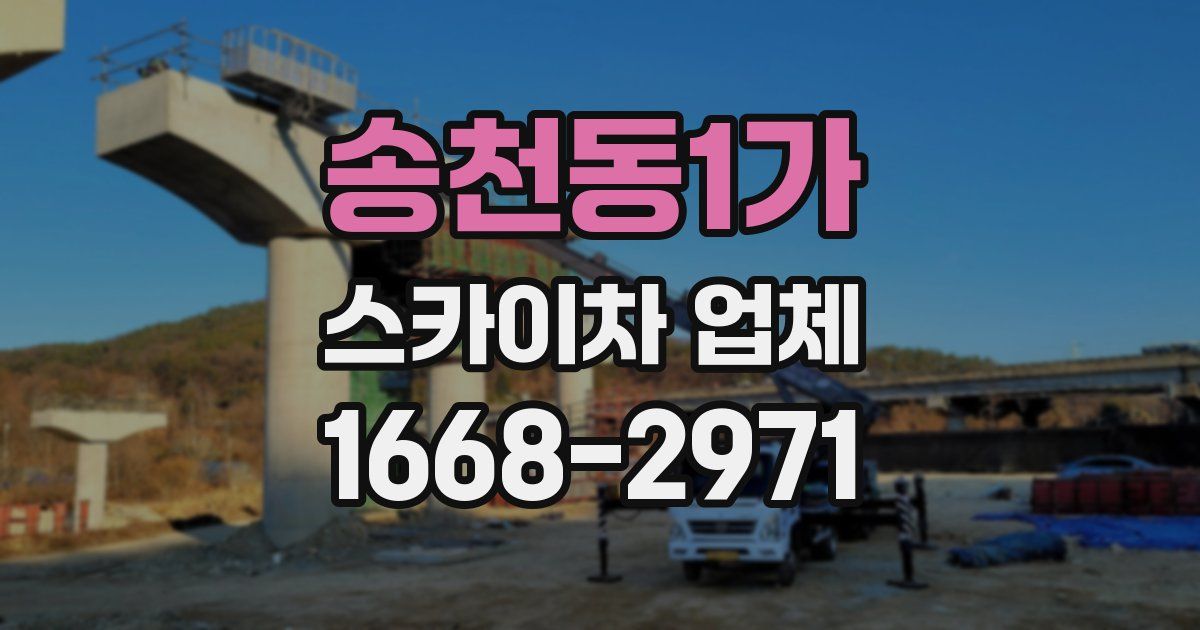 송천동1가 스카이차 업체