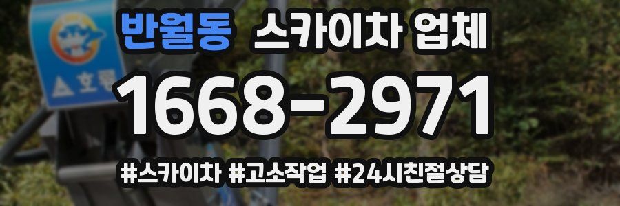 반월동 스카이차 업체