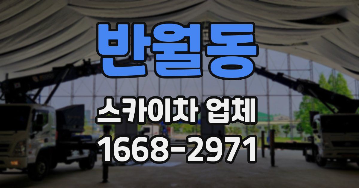 반월동 스카이차 업체