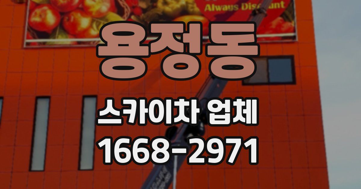 용정동 스카이차 업체