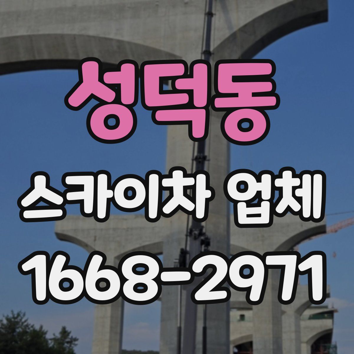 성덕동 스카이차 업체