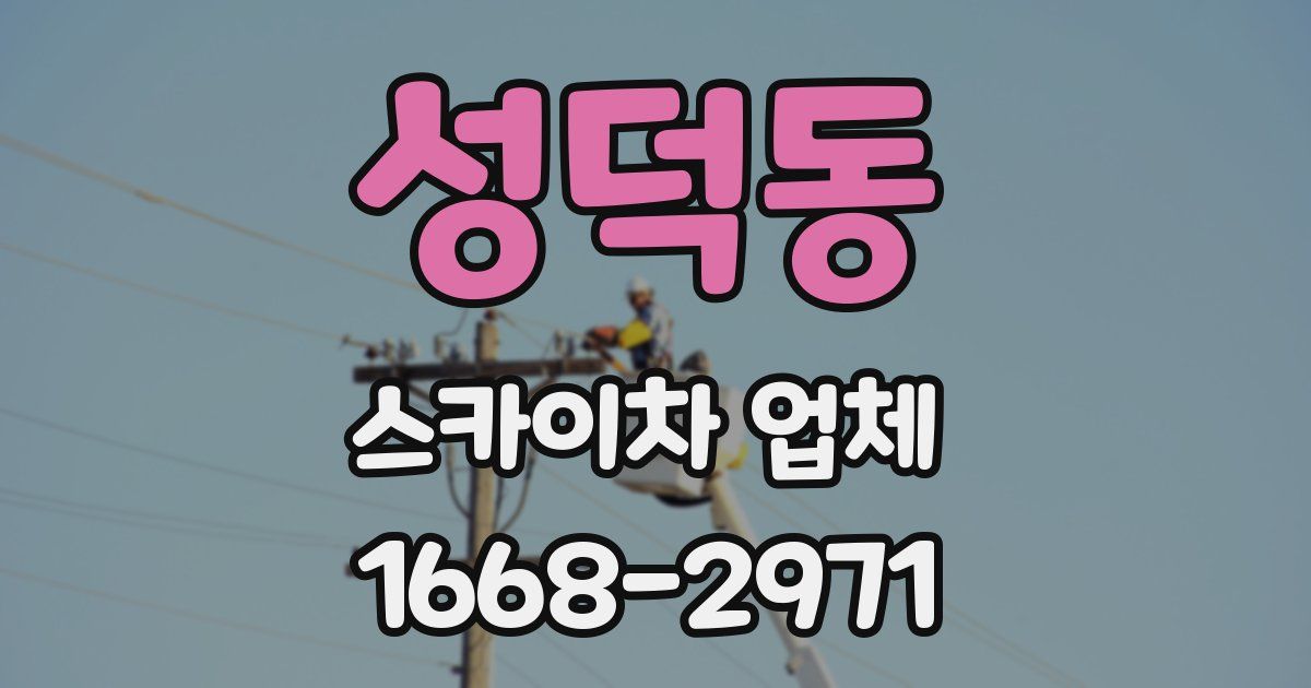 성덕동 스카이차 업체