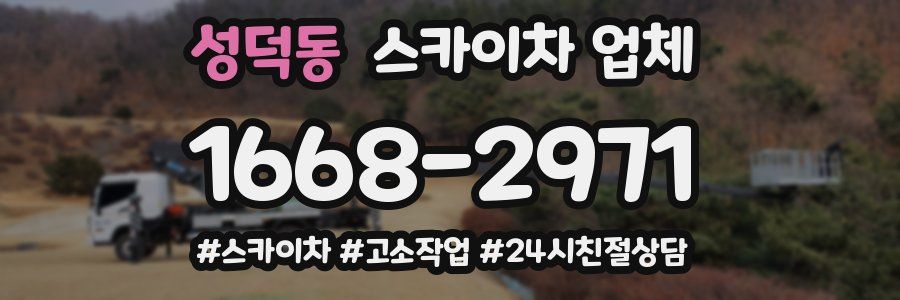 성덕동 스카이차 업체