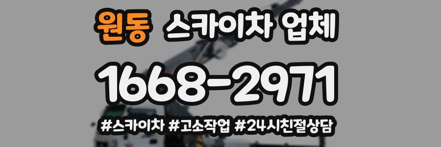원동 스카이차 업체