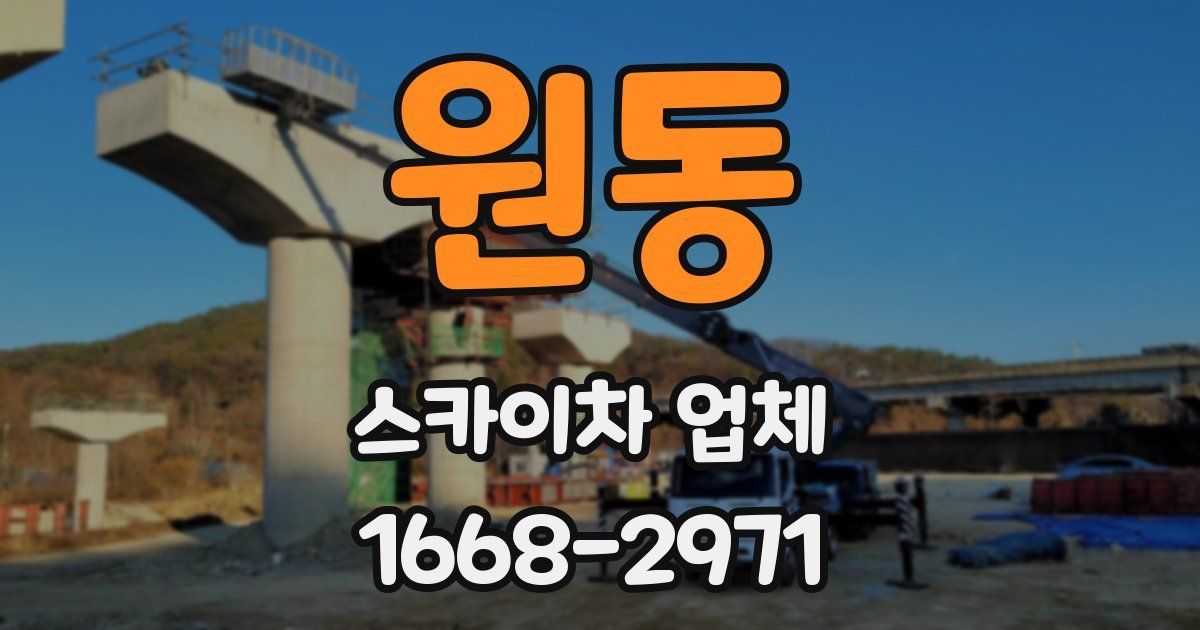 원동 스카이차 업체