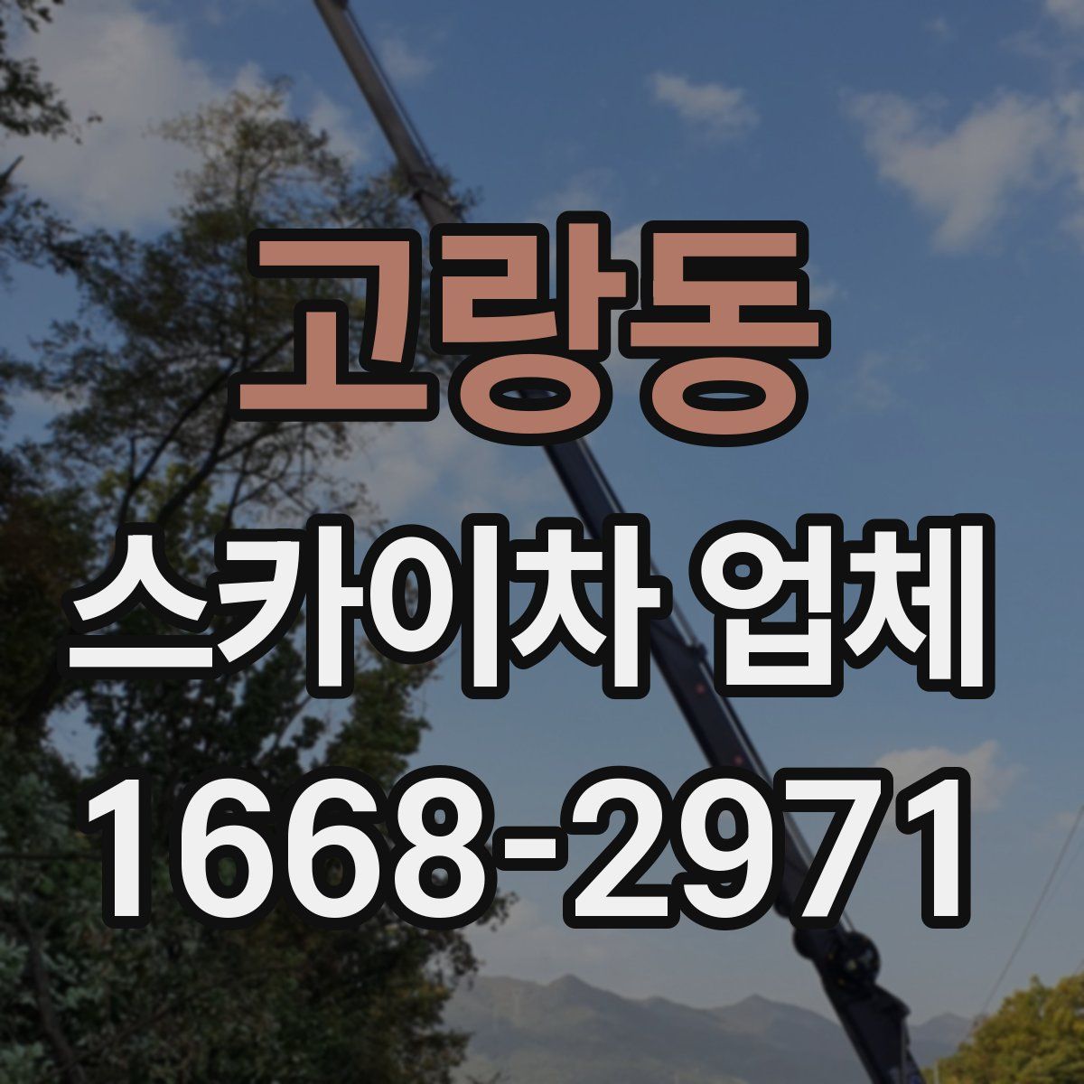 고랑동 스카이차 업체