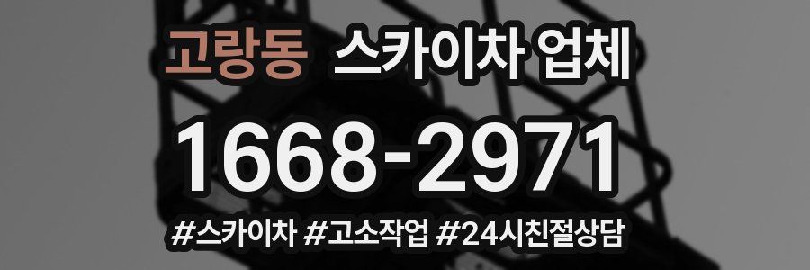 고랑동 스카이차 업체