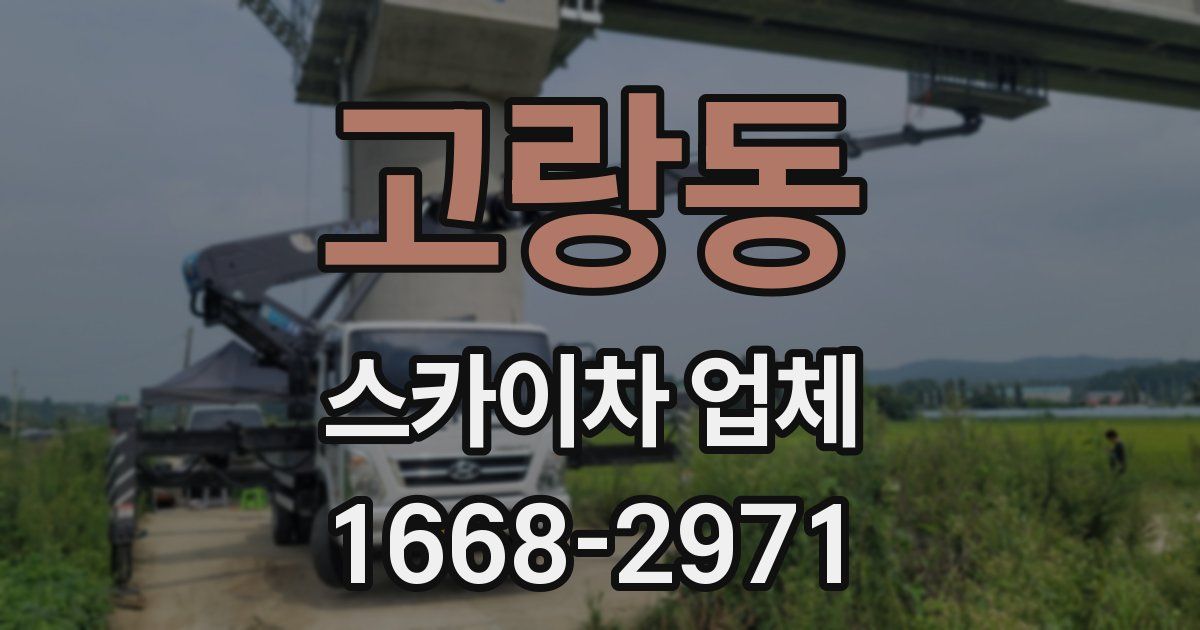 고랑동 스카이차 업체
