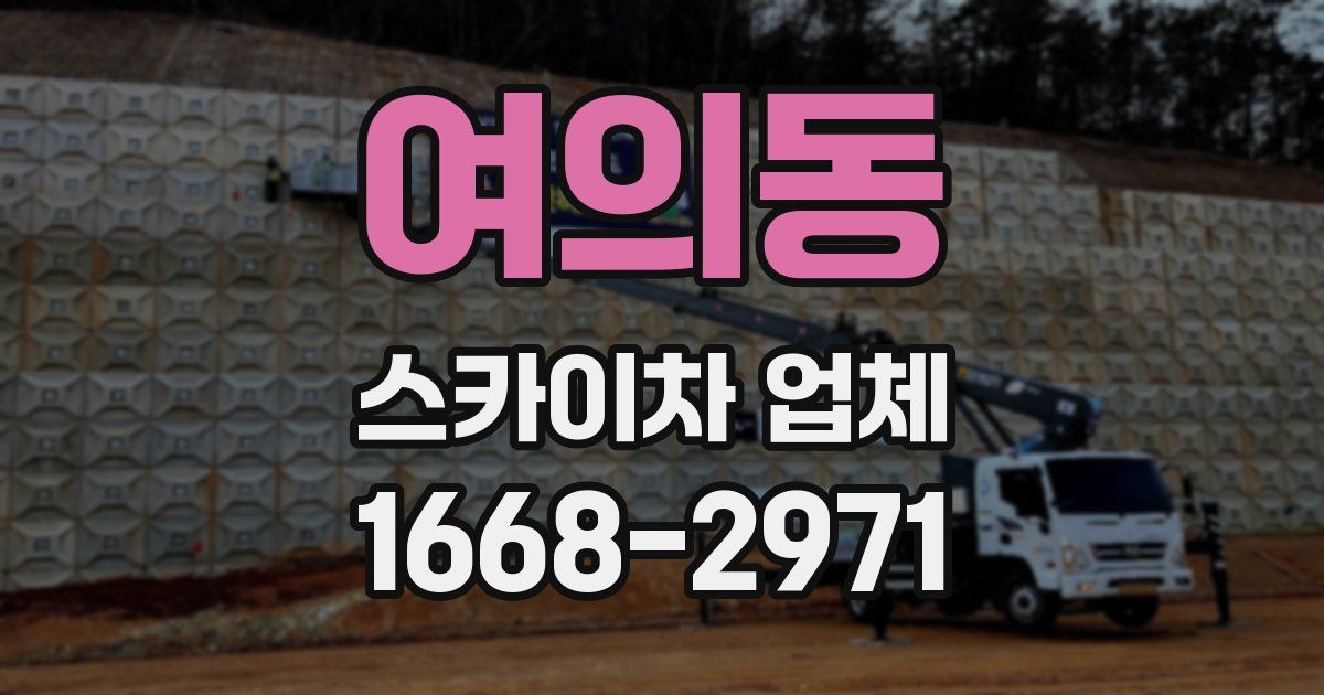 여의동 스카이차 업체