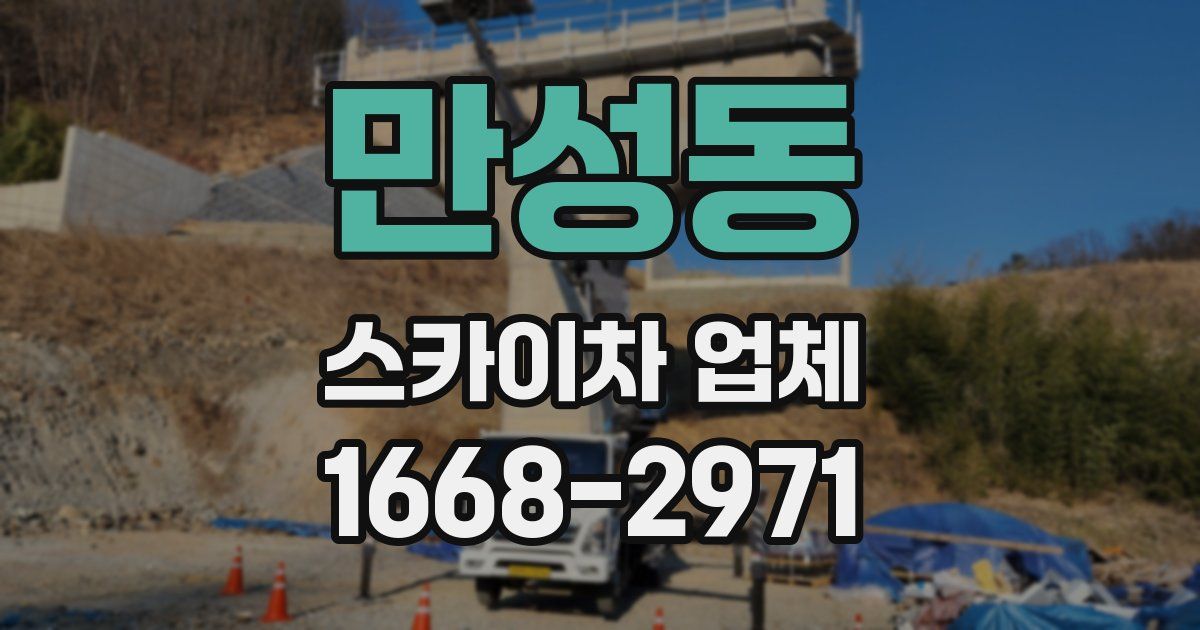 만성동 스카이차 업체