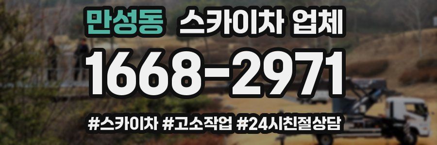 만성동 스카이차 업체