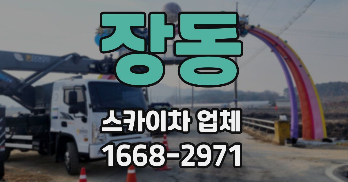 장동 스카이차 업체